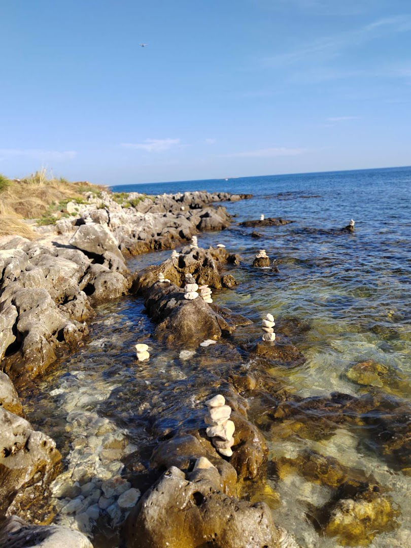 VogaVoga KAYAK TOURS