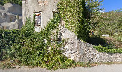 Uzgajivačica pasa,,Belona,,VL.Jasminka Novosel