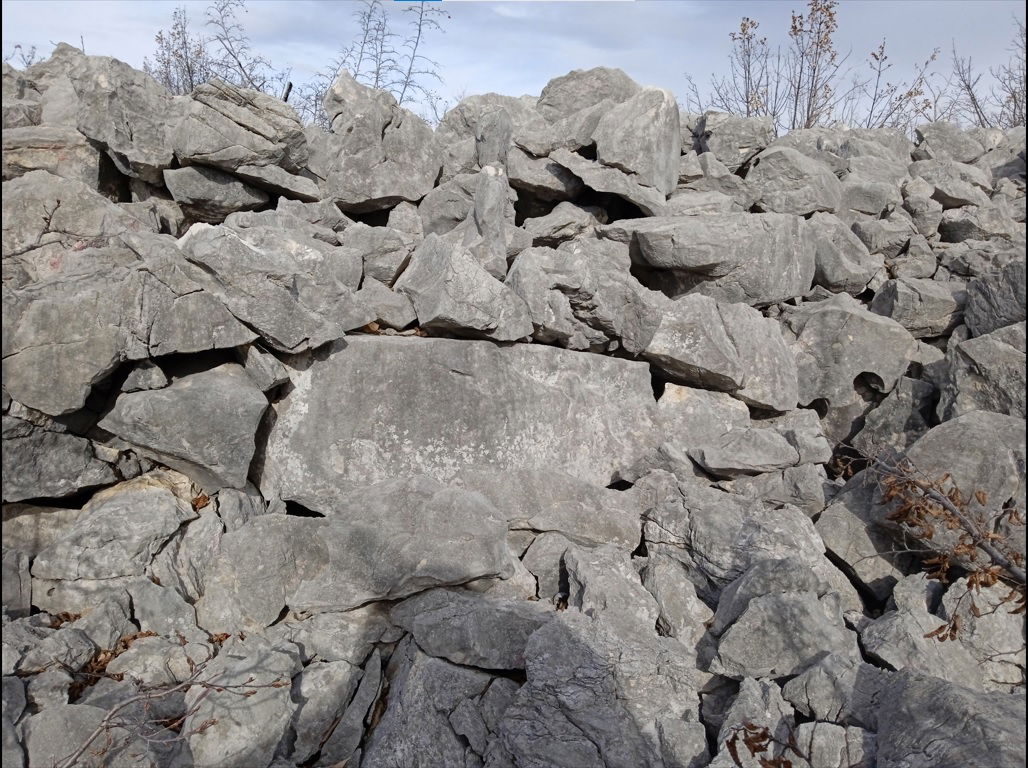 Ilirska gradina (MBH)