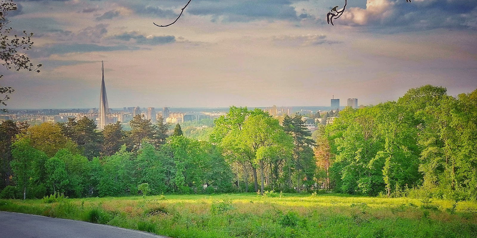 Pogled sa kosutnjaka