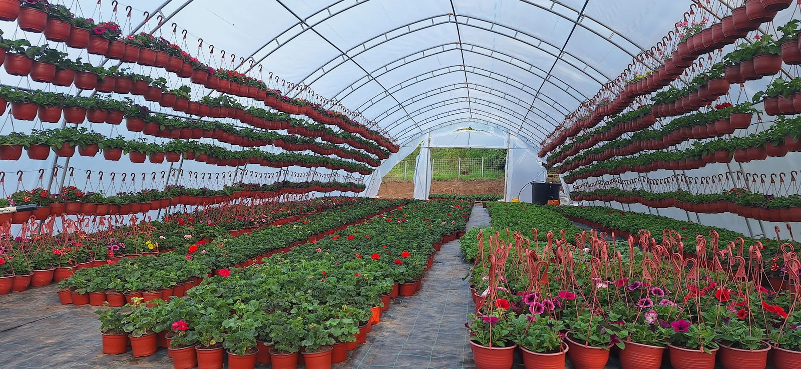 Rasadnik cveća "Nađa"