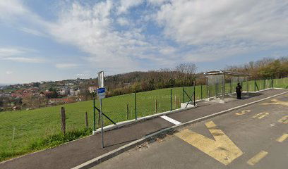 Zelena mag.-Rušiščak