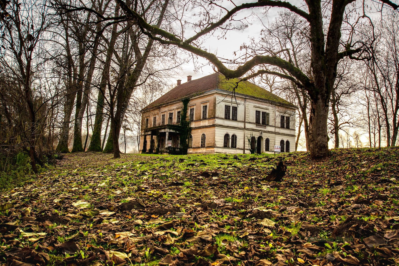 Castle Turk - Mažuranic