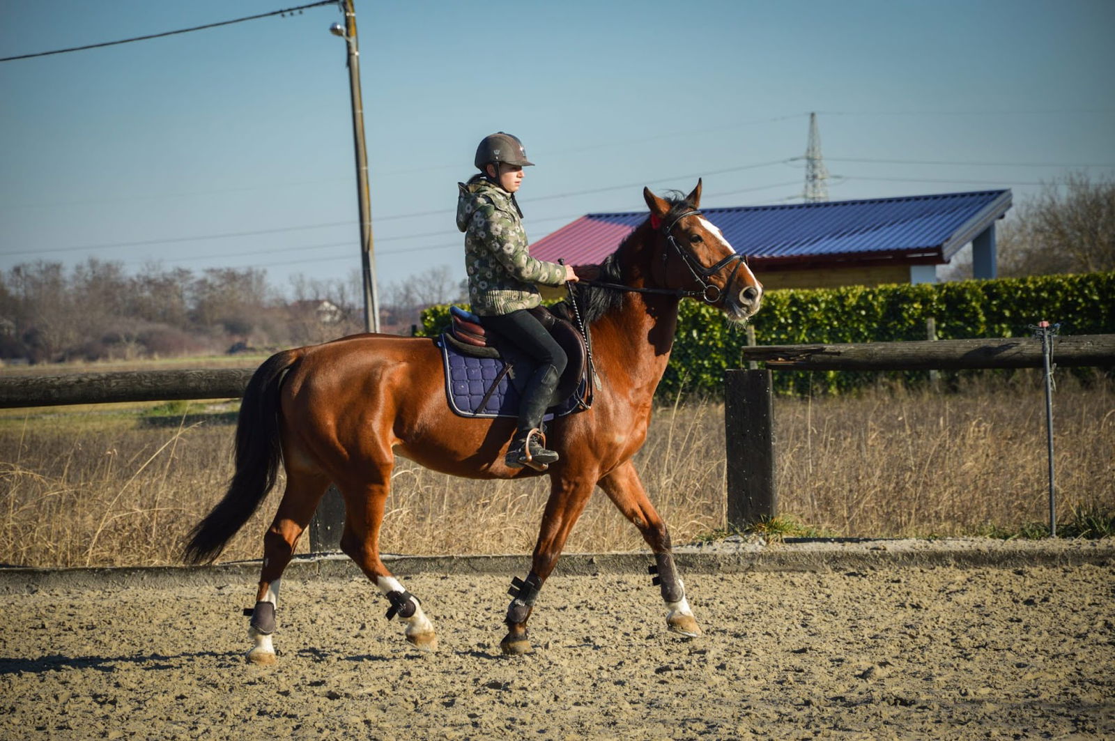 Konjički klub Sokol - Dupci