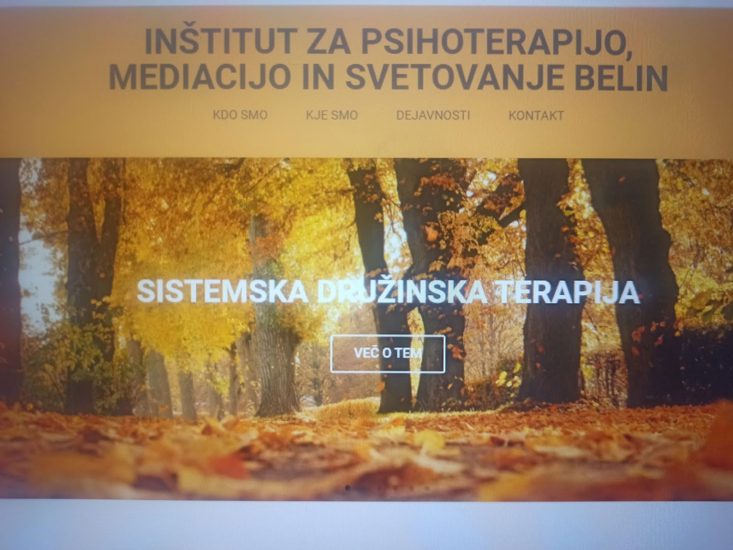 INŠTITUT ZA PSIHOTERAPIJO, MEDIACIJE IN SVETOVANJE BELIN