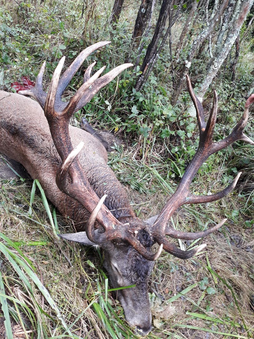 Lovačka kuća "Fazanerija" HŠ d.o.o. ,UŠP Slatina, Šumarija Slatina