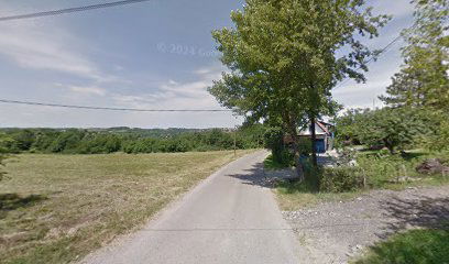 Čedomira Jakovljevića