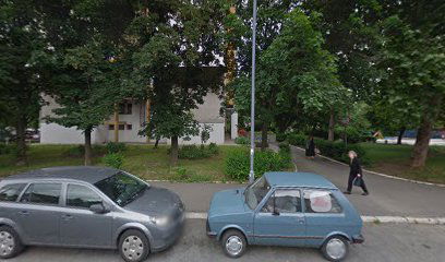 Predrag, Nenad, Snezana