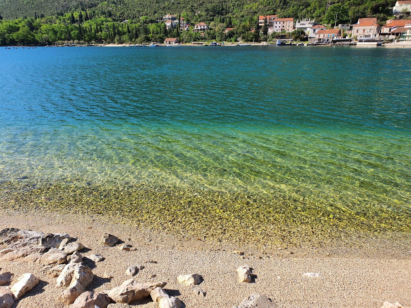 Oyster Paradise Blue Apartment