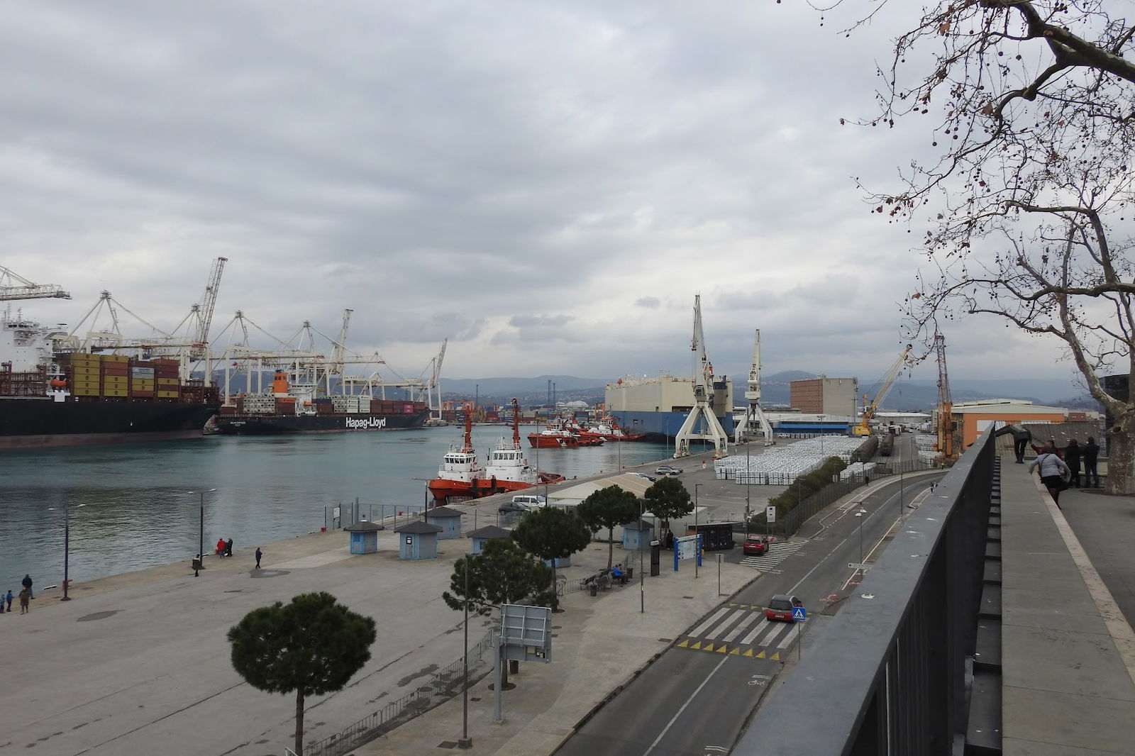 DDD dezinfekcija, dezinsekcija, deratizacija d.o.o.