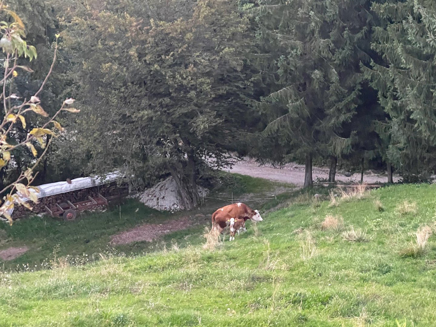 Prostovoljno gasilsko društvo Šenturška Gora