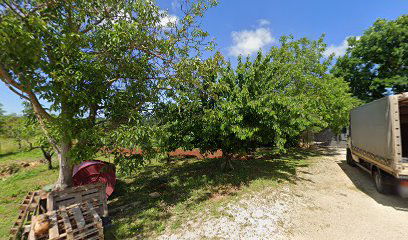 POLJOPRIVREDNO-TRGOVAČKI OBRT SOŠIĆ, VL. SOŠIĆ ADRIANO, VIŽINADA