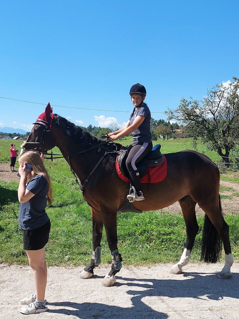 Konjeniški klub Pr'Kral