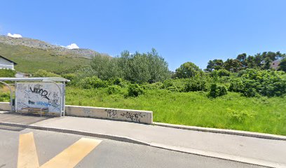 KRIŽANJE ŽRNOVNICA 1