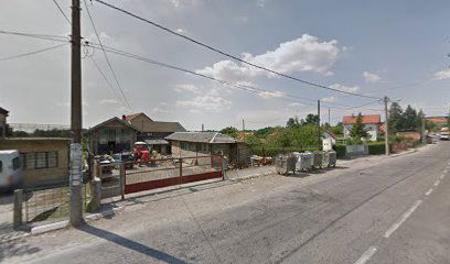 Svetosavska (Beli Labud)