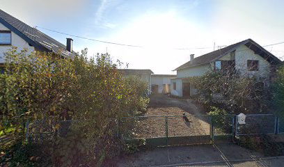 Land of paws - Bengal cat breeder - Cattery