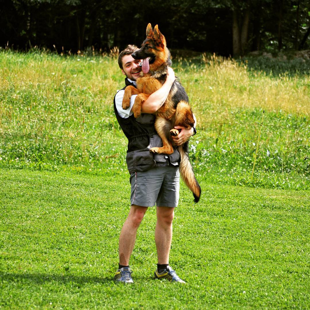 Psarna Golobova / Kennel Golobova