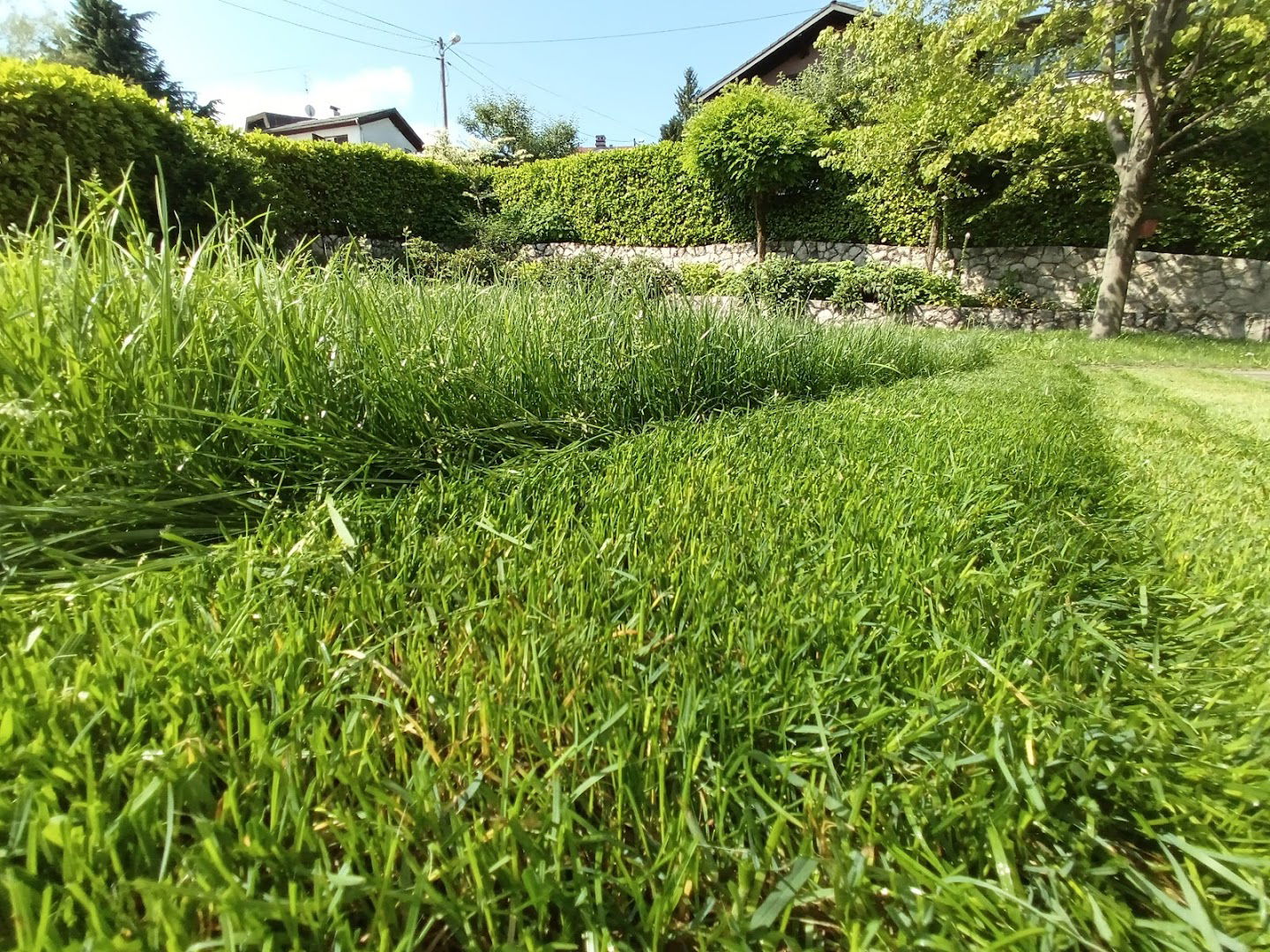 Hortikultura KALI d.o.o.