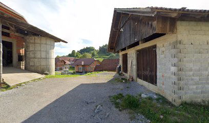 Arboristične storitve, Neža Novak s.p.