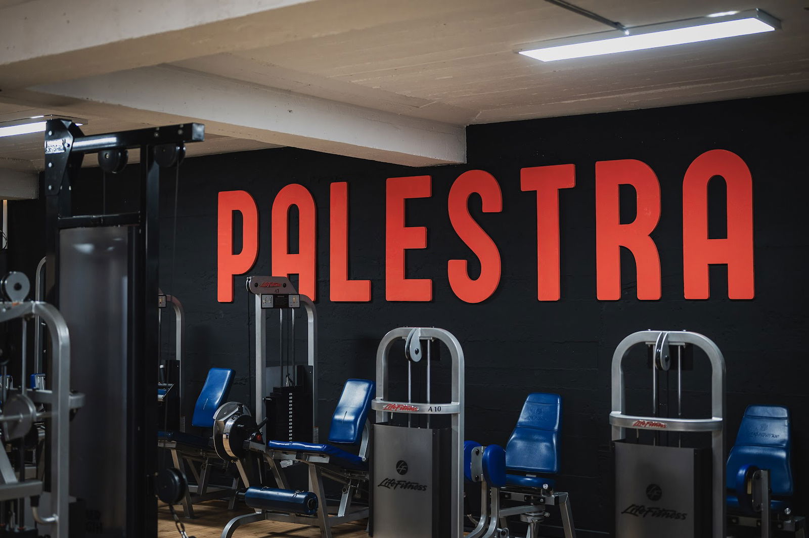 fitness Palestra Benkovac