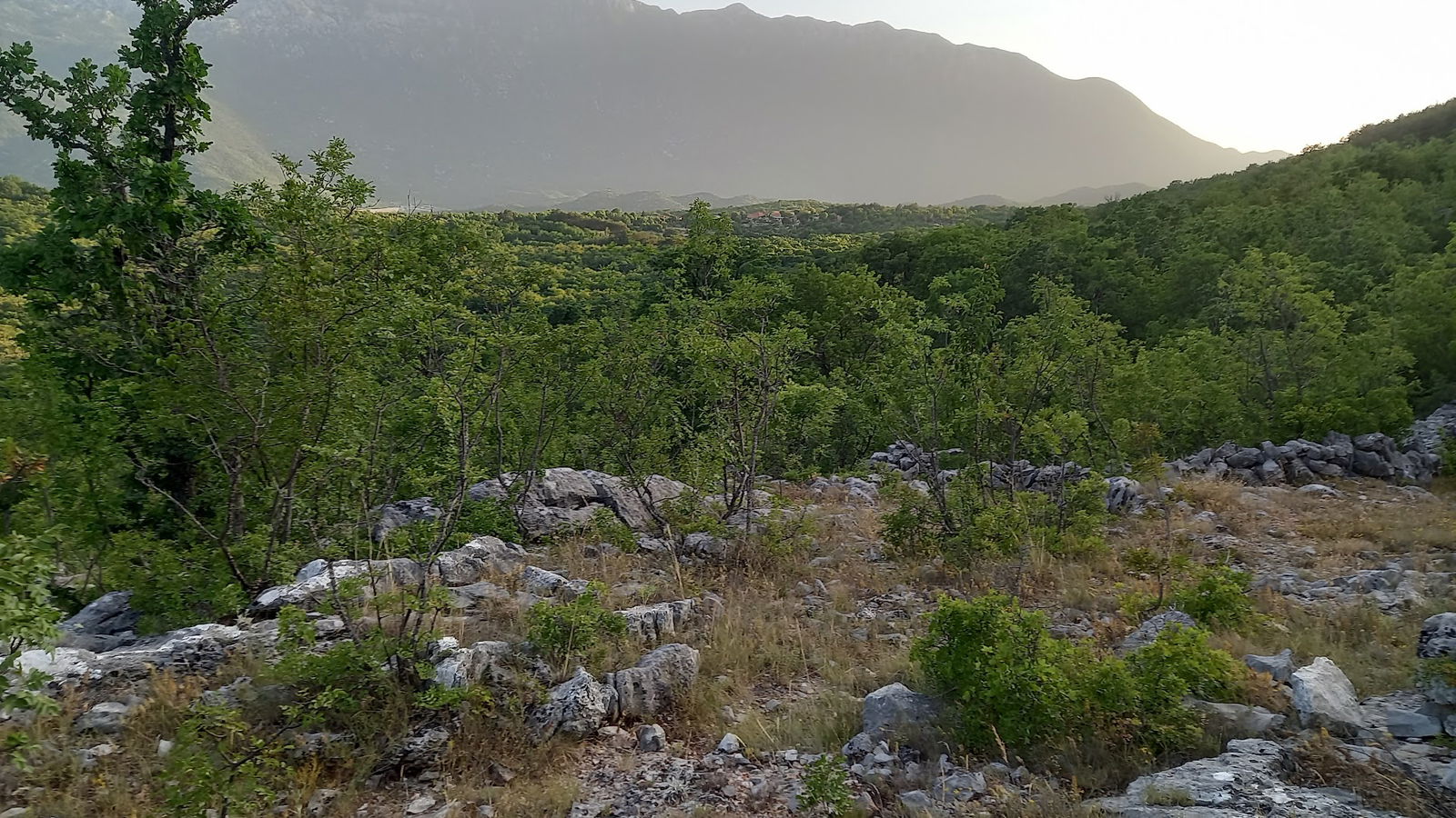 Church of St. Michael