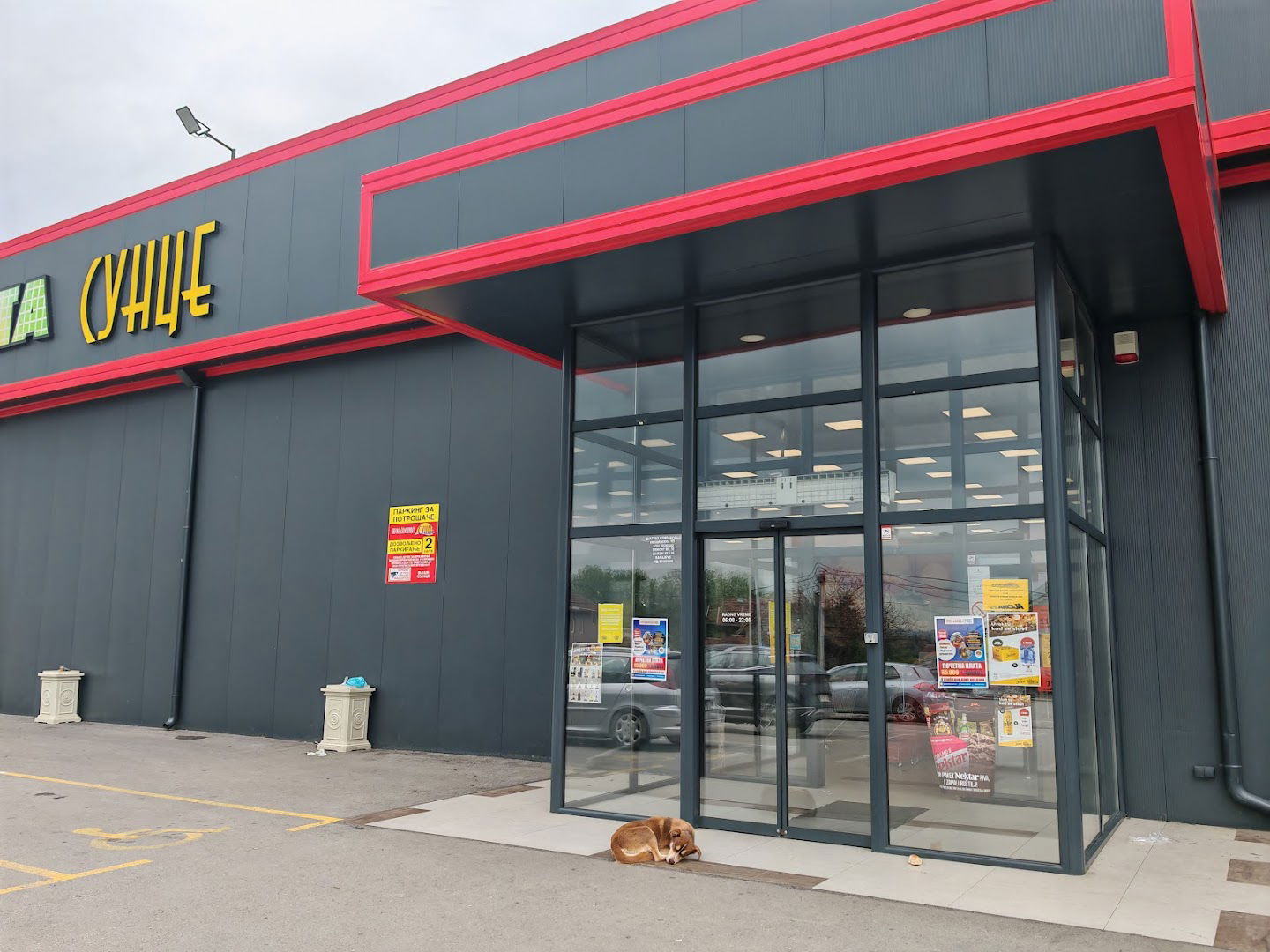 Sunce market Ibarski put Meljak