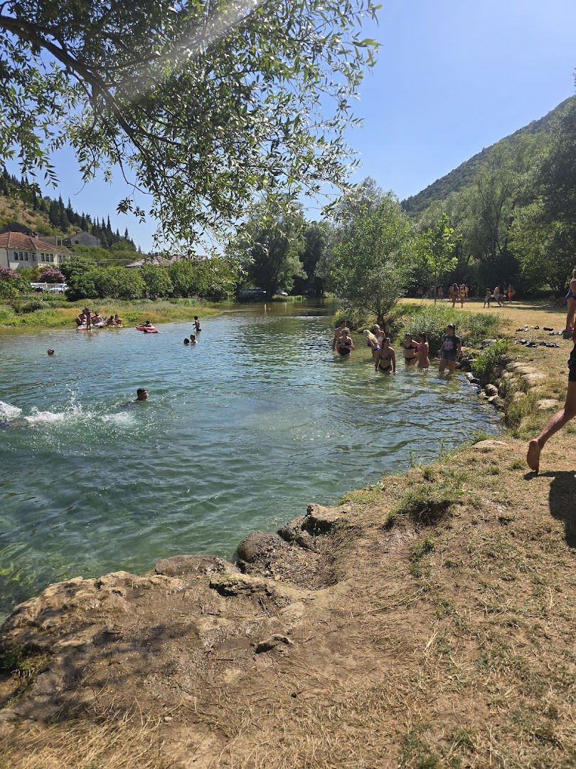 Crossing and swimming