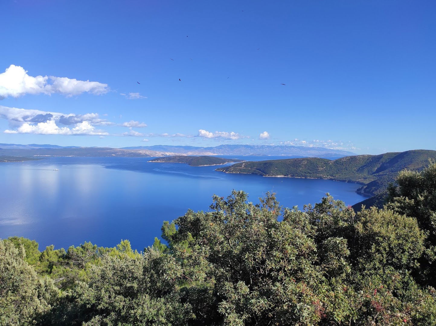 45° Paralela - Vidikovac