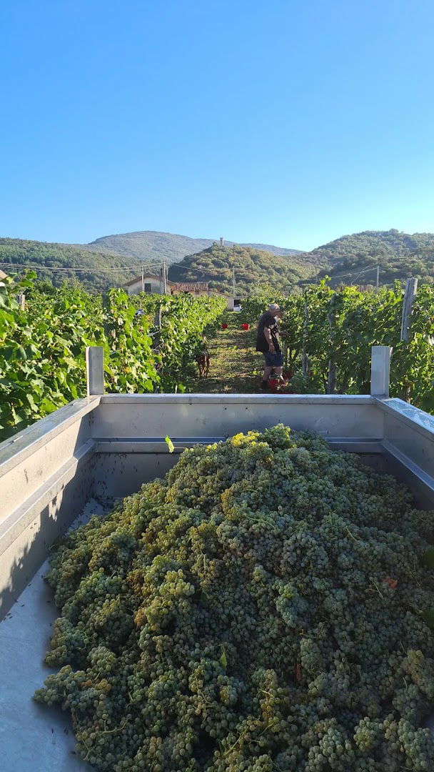 Azienda agricola Toti Katia