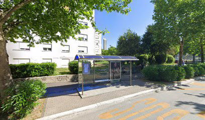 HERCEGOVAČKA - BRDA