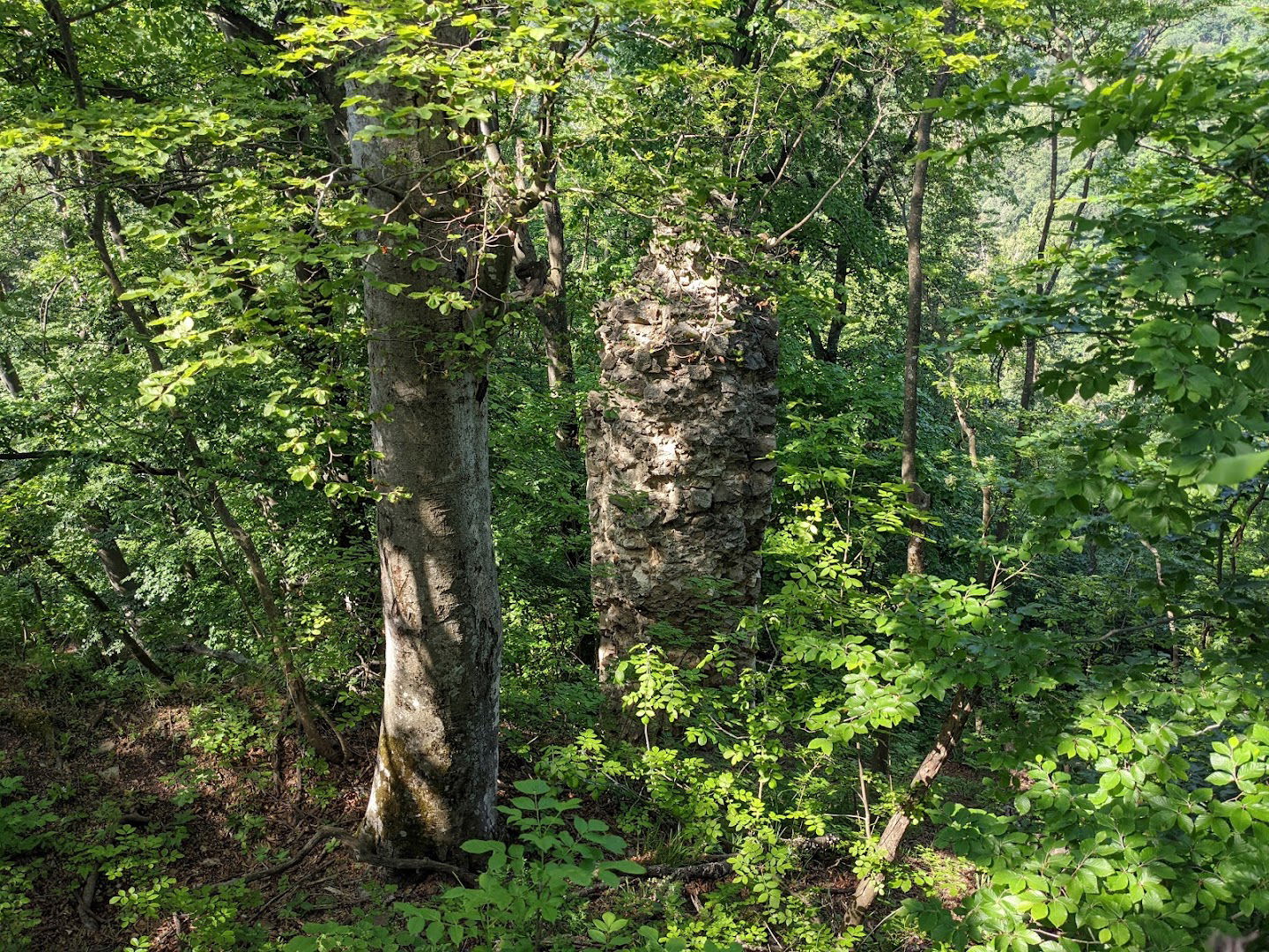 Srednjovjekovna utvrda Klak