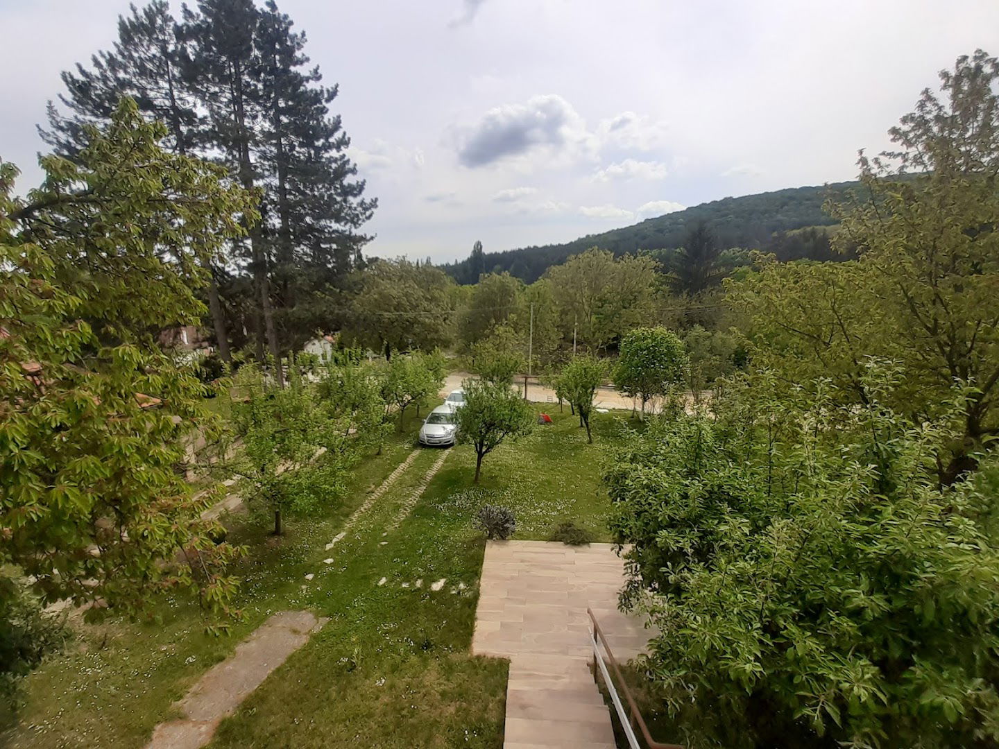 Apartment Honey and milk