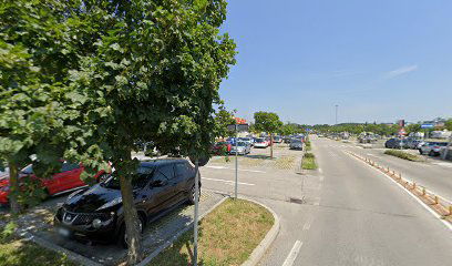 BORSE DELLA TIMAVO 2023