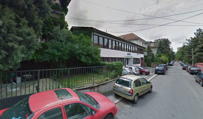 Project Management College