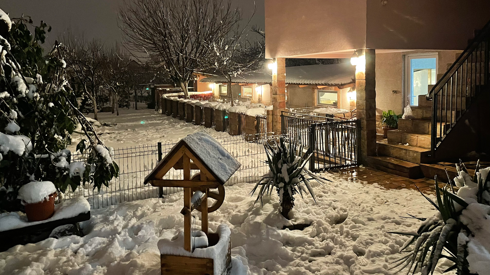 Odgajivacnica Francuskih Buldoga Od Kuce Don