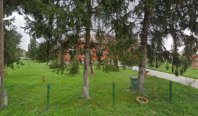 POŠ Mihaela Šiloboda Pavučnjak