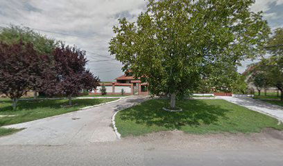 Alfa MG - Veleprodaja