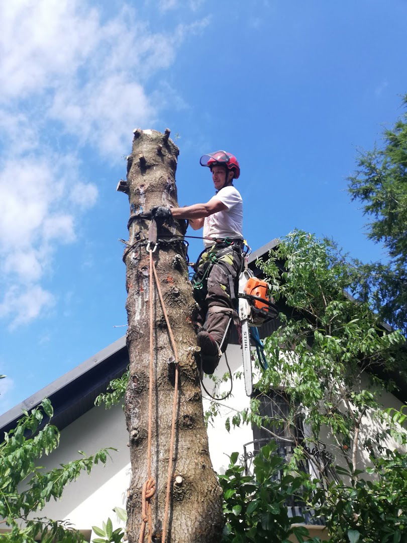 Formika Arborist - Obrezovanje dreves