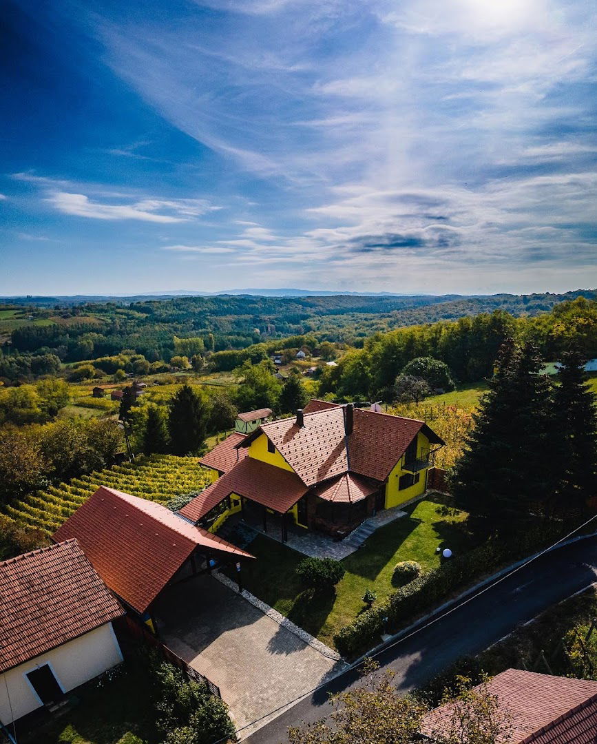 VILLA LIPICA i vina HARSAN (kuća za odmor 4* i vinarija)