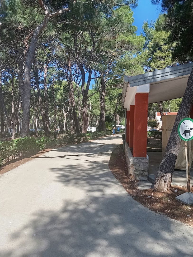 Kamp Činta - Savez baptističkih crkava u Republici Hrvatskoj