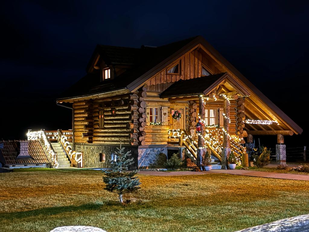 Log home Mountain mama