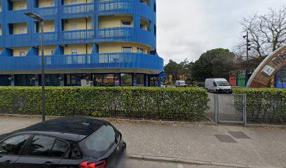 Linguaviva Summer Camp