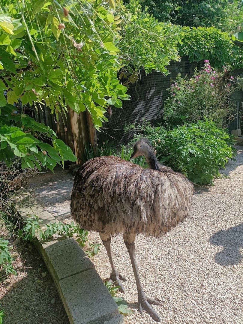 Centro recupero fauna esotica, selvatica e tartarughe marine - Località Terranova