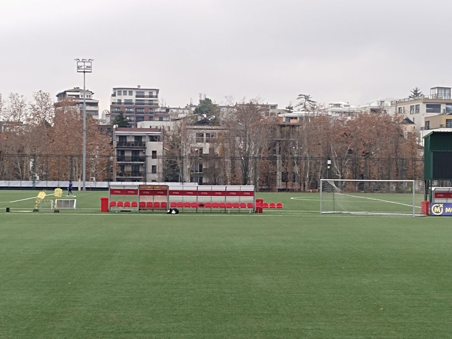 Assistant Fields FK Red Star