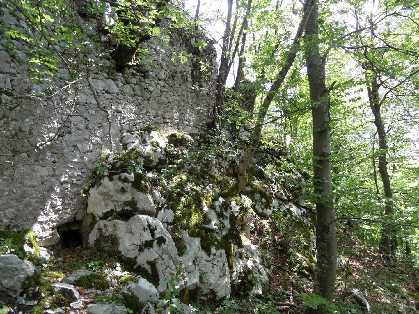 Čušperk Castle