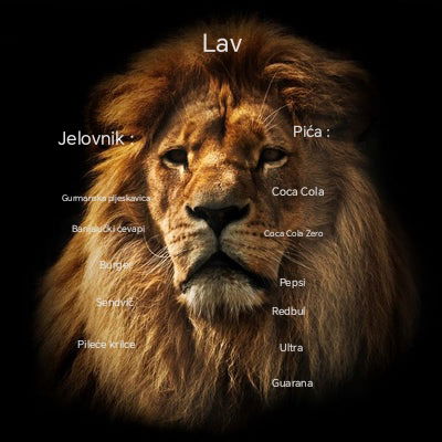 Lav- Autobuska stanica -