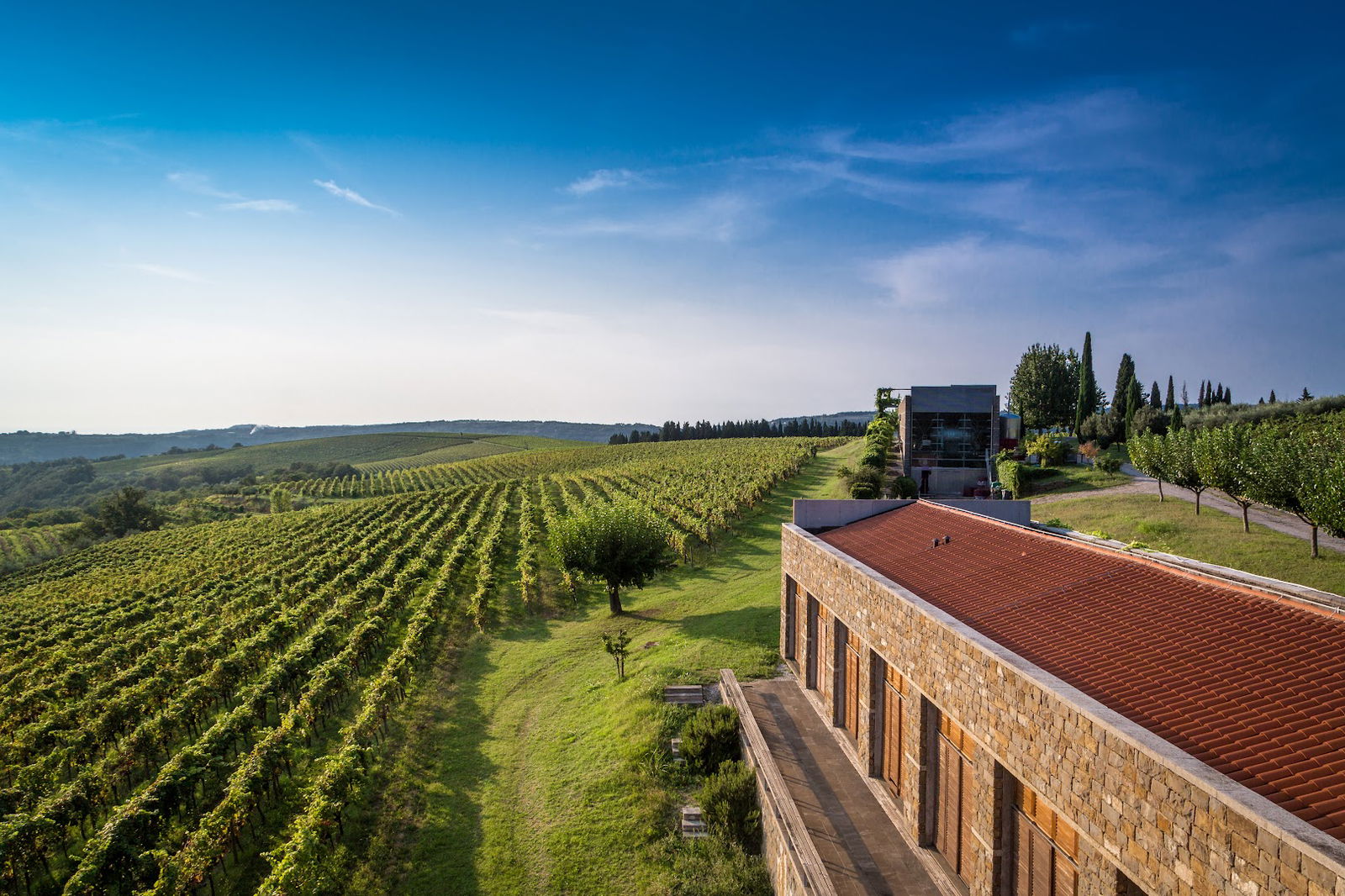 Brič winery