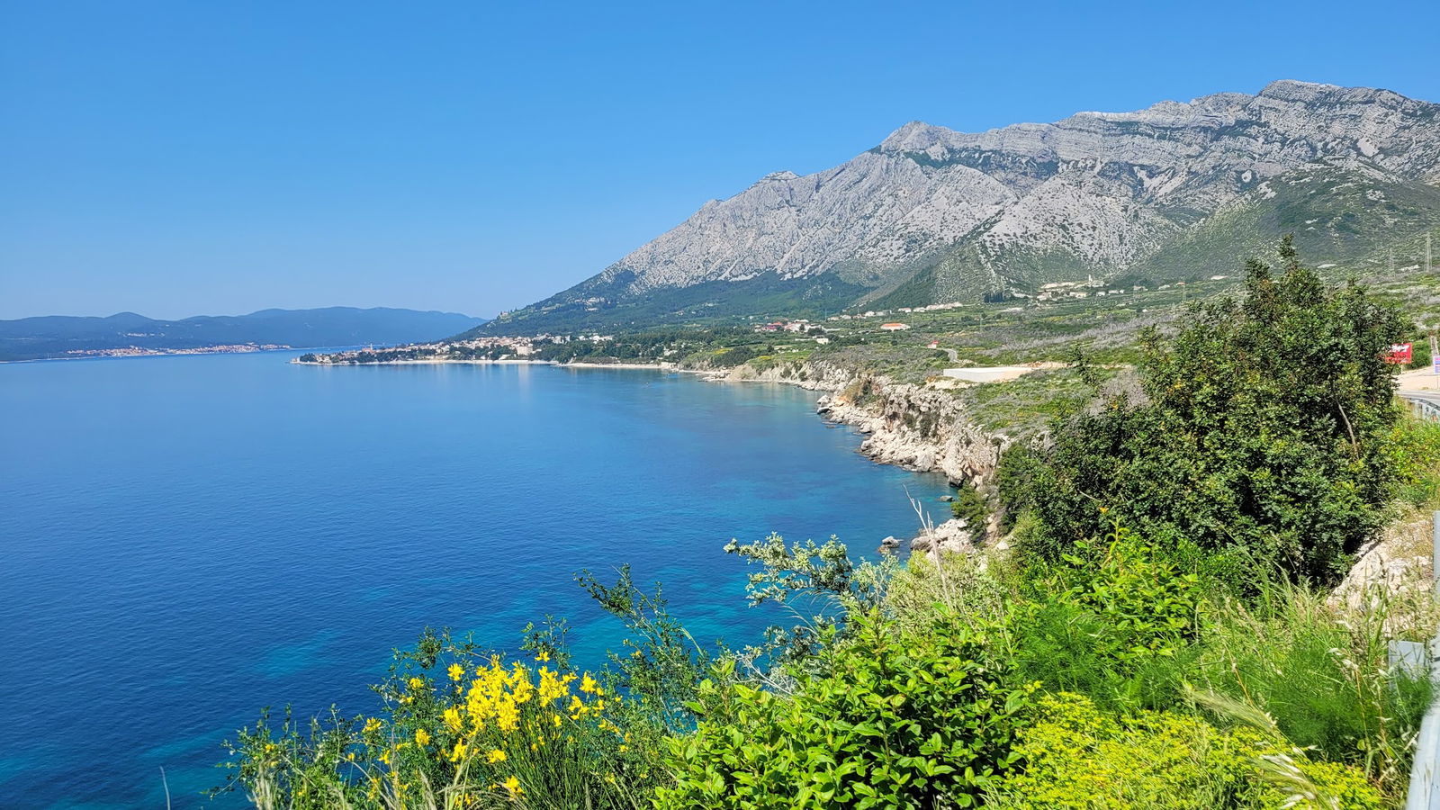 Road among the vineyards