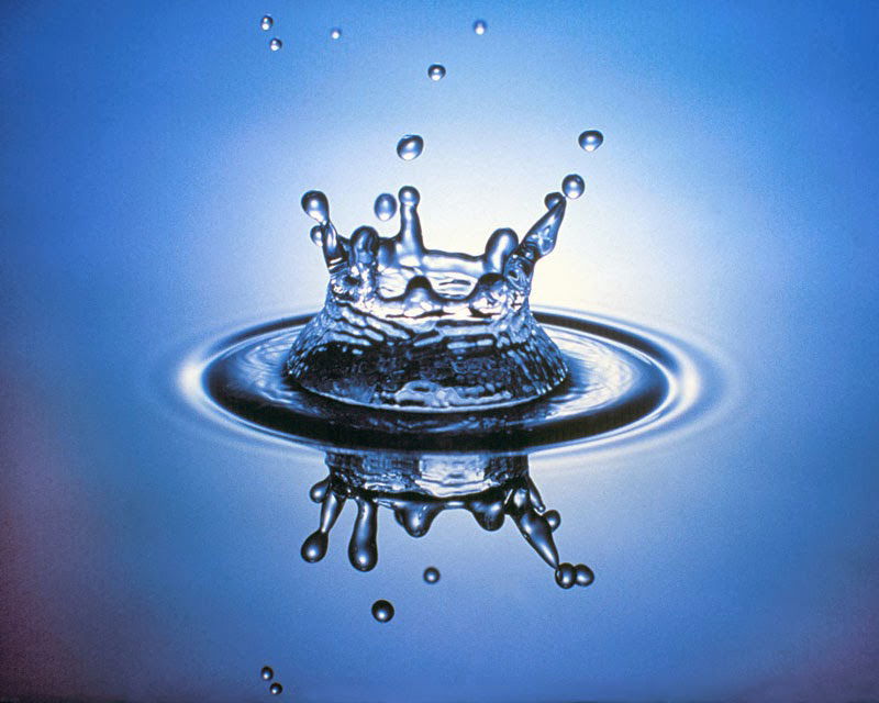 WATER INTERIORS Ltd.