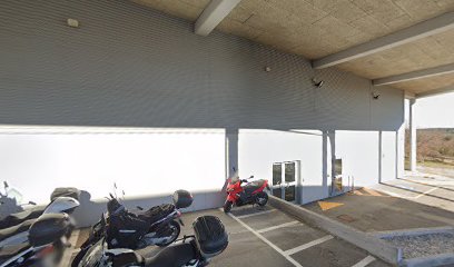 Gold Standard Diagnostics Trieste s.r.l. a Socio Unico